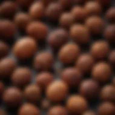 Close-up of Rudraksha beads showcasing their unique texture and color variations.