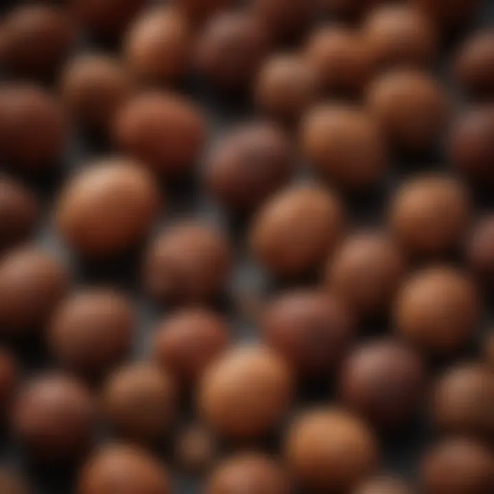 Close-up of Rudraksha beads showcasing their unique texture and color variations.