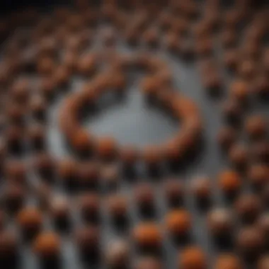 Different types of Rudraksha beads displayed together to highlight their diversity.