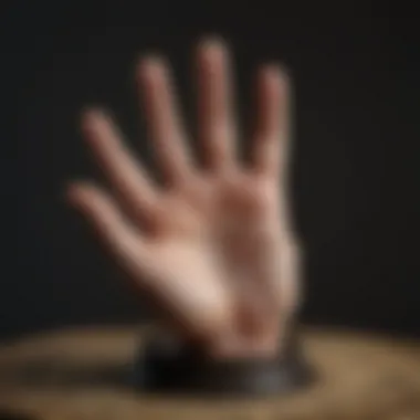 Exploring Palmistry Mounts Artistic representation of palmistry mounts