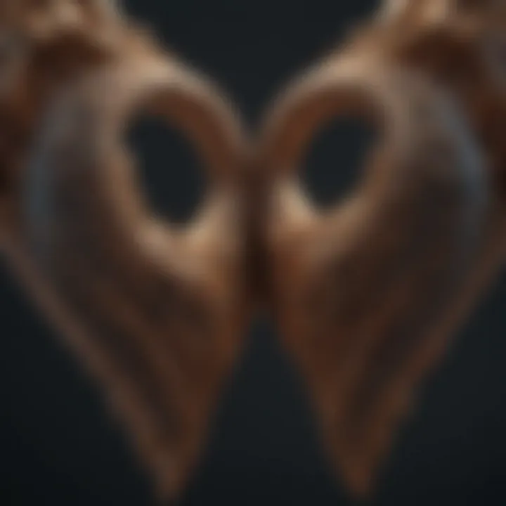 Two intertwined hearts symbolizing emotional connection