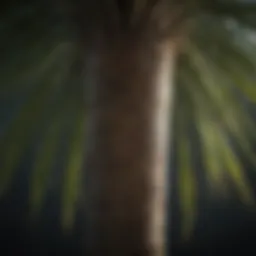 An intricate depiction of palm lines