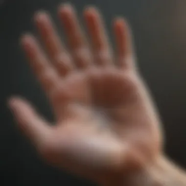 Intricate Lines of Palmistry An intricate palm with lines and mounts highlighted