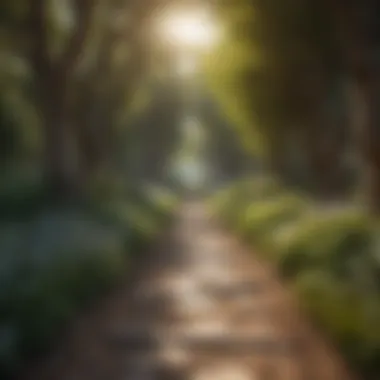 Serene Pathway of Personal Journeys A serene pathway symbolizing personal journeys and growth